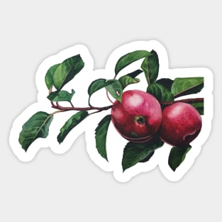 Apple Tree Sticker